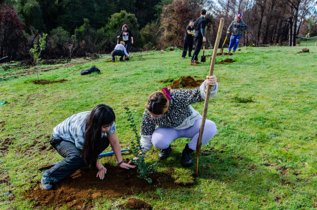 1- y (25)