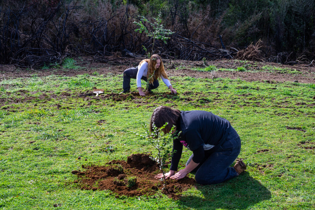 1- y (57)