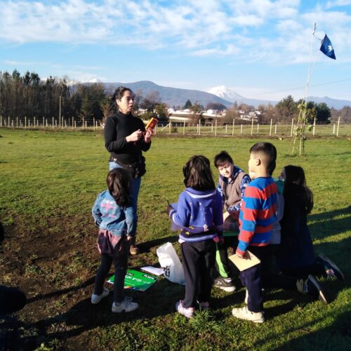 6- WhatsApp Image 2025-02-10 at 6.15.34 PM (4)